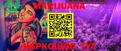 индика Рузаевка