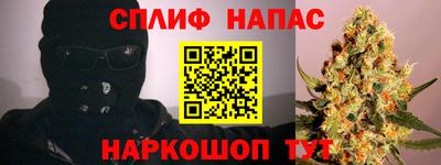 индика Рузаевка