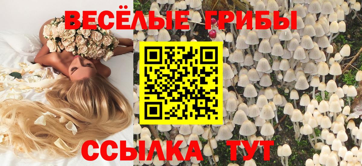 Псилоцибиновые грибы GOLDEN TEACHER Рассказово